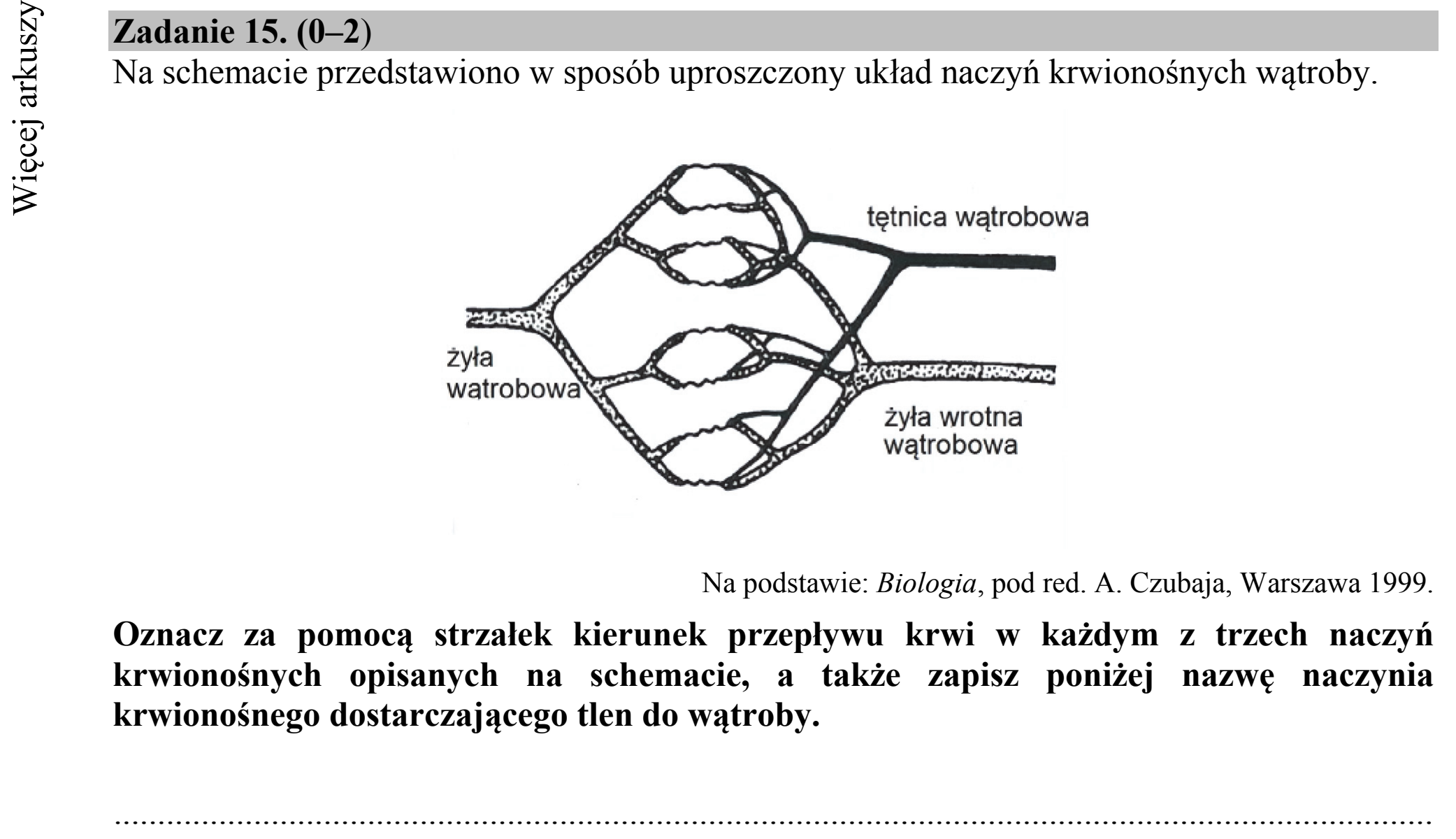 Matura dodatkowa, czerwiec 2015, podgląd zadania 15