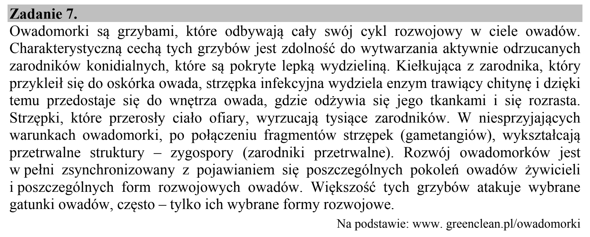 Matura dodatkowa, czerwiec 2015, wstęp zadania 7