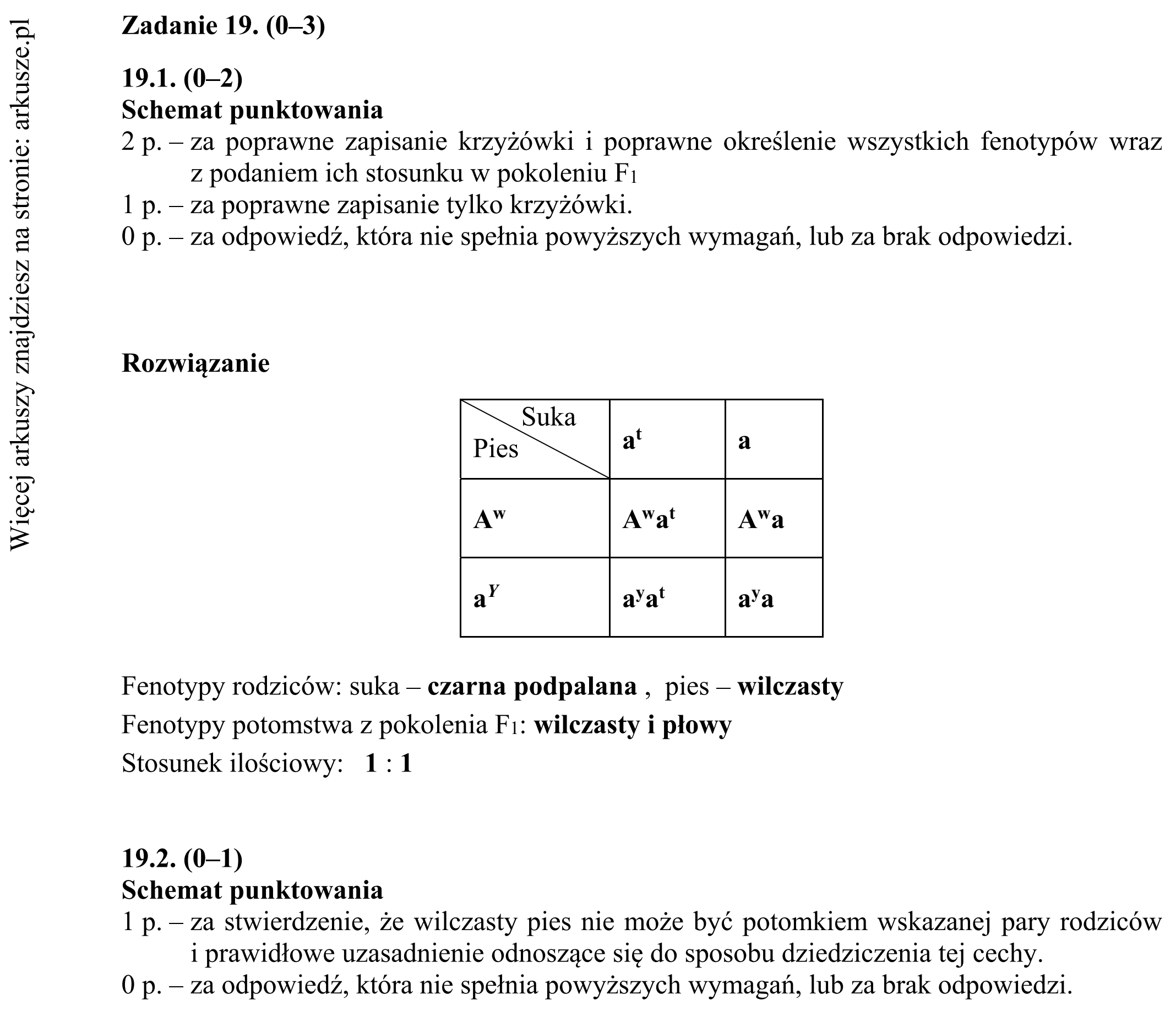 Matura dodatkowa, czerwiec 2016, odpowiedź do zadania 19.1, fragment 1