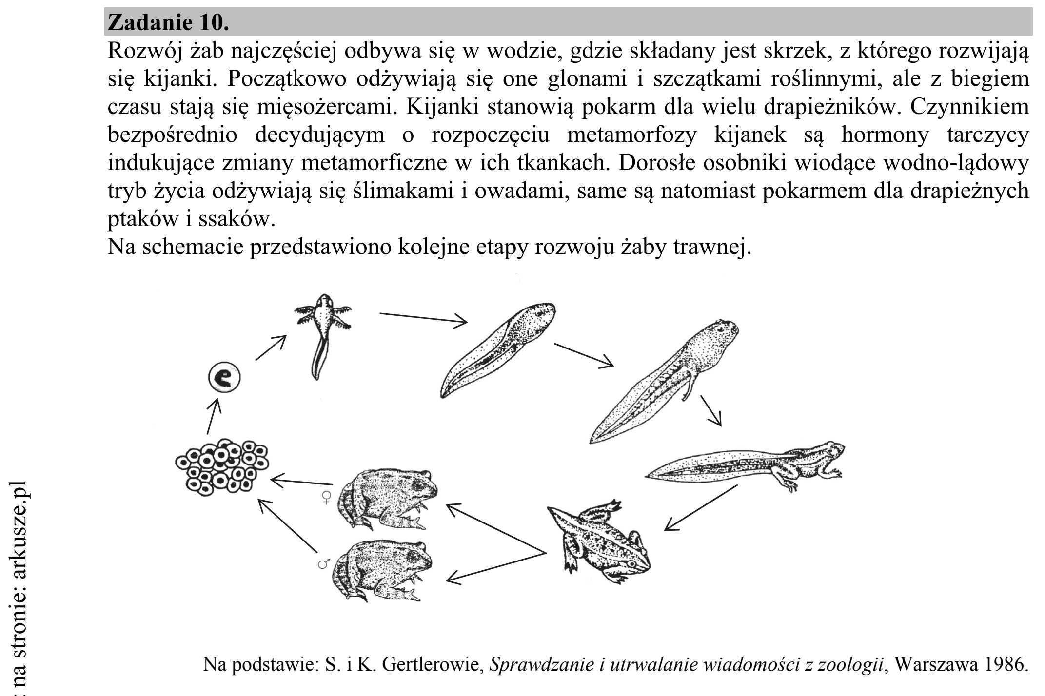 Matura dodatkowa, czerwiec 2016, wstęp zadania 10