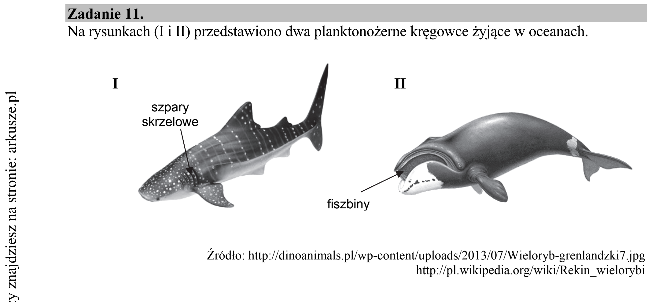 Matura dodatkowa, czerwiec 2016, wstęp zadania 11