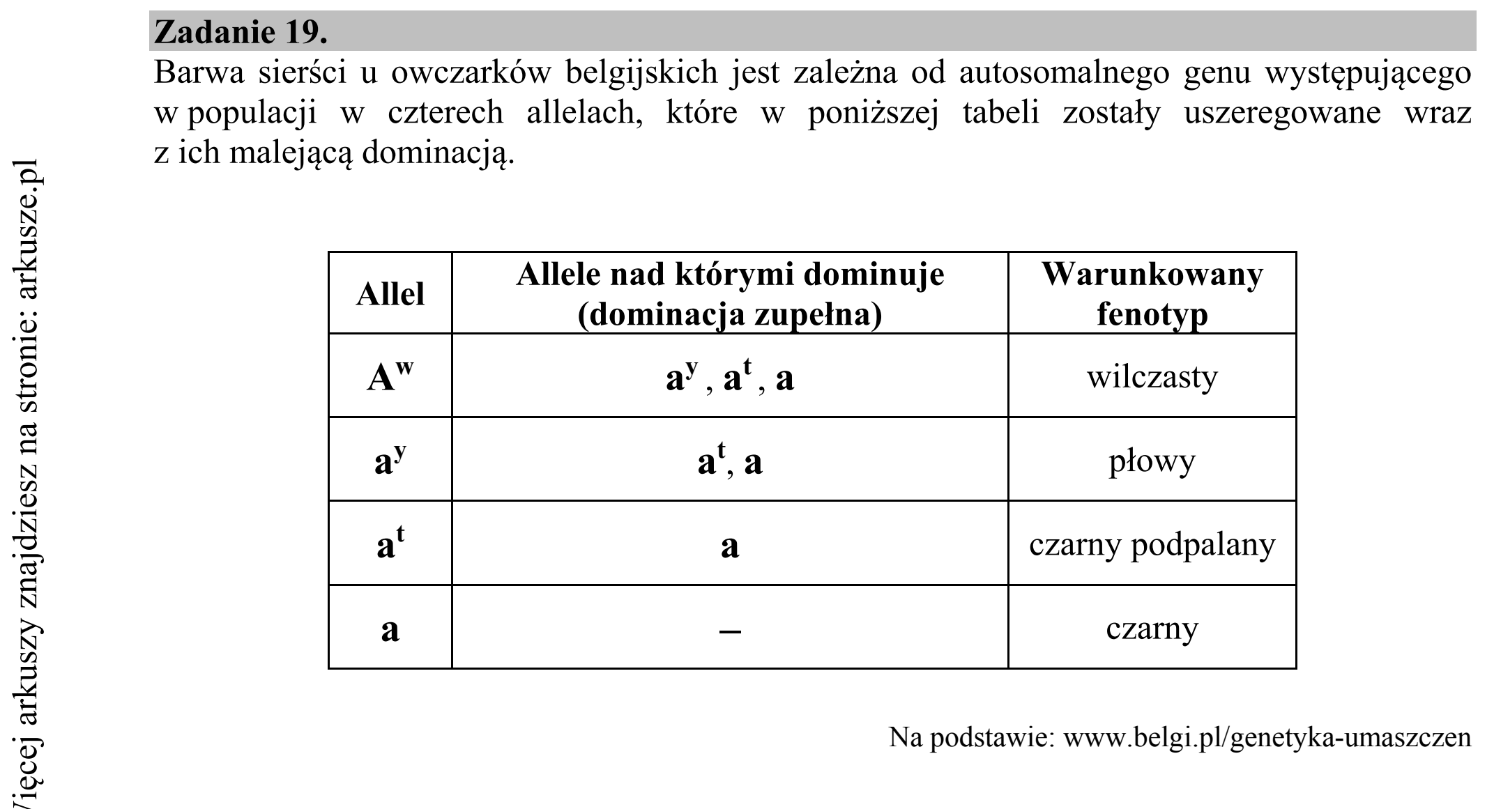 Matura dodatkowa, czerwiec 2016, wstęp zadania 19