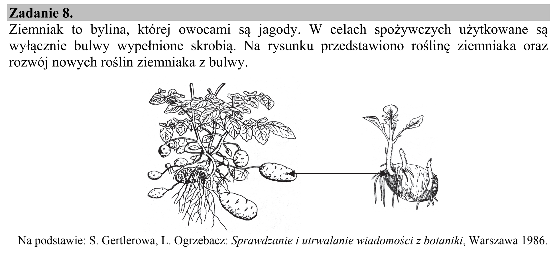 Matura dodatkowa, czerwiec 2016, wstęp zadania 8