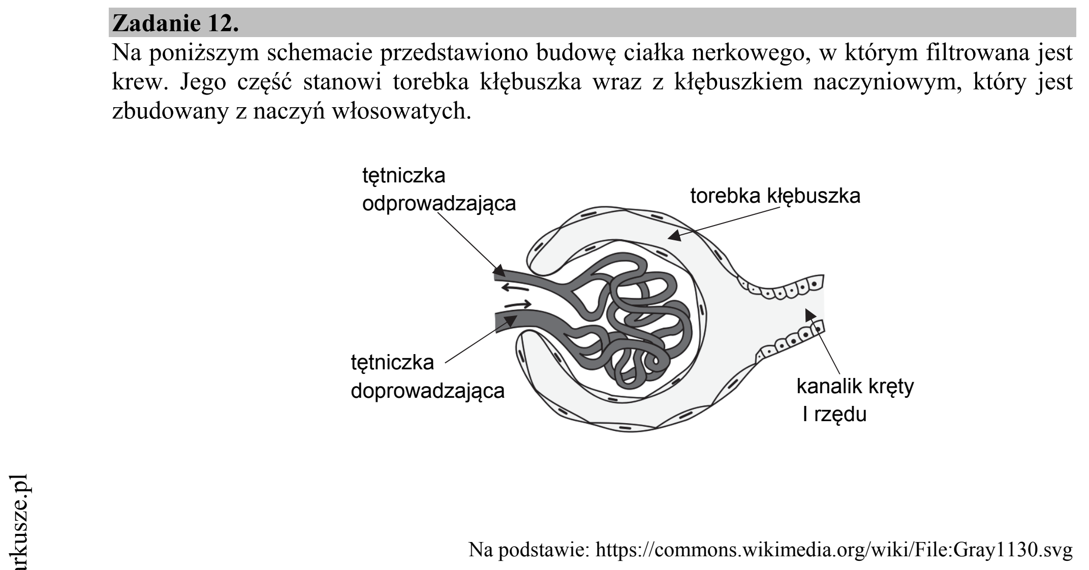 Matura dodatkowa, czerwiec 2017, wstęp zadania 12