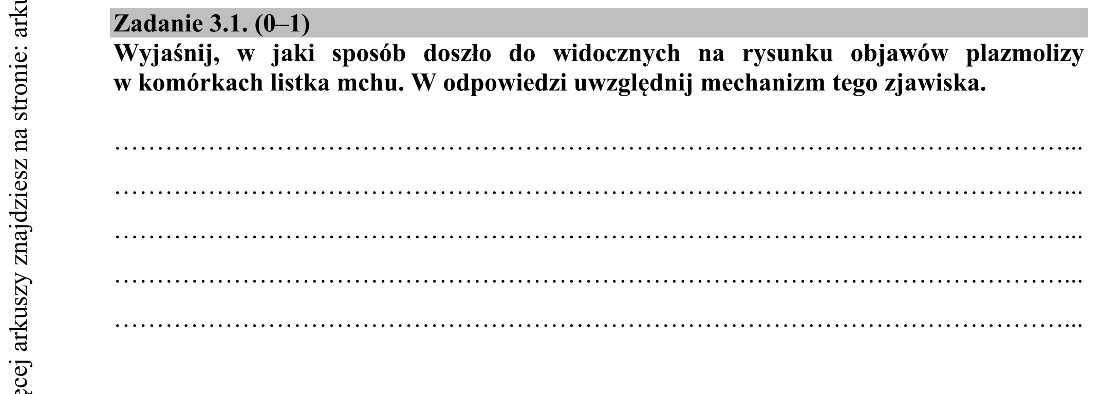 Matura dodatkowa, czerwiec 2017, zadanie 3.1