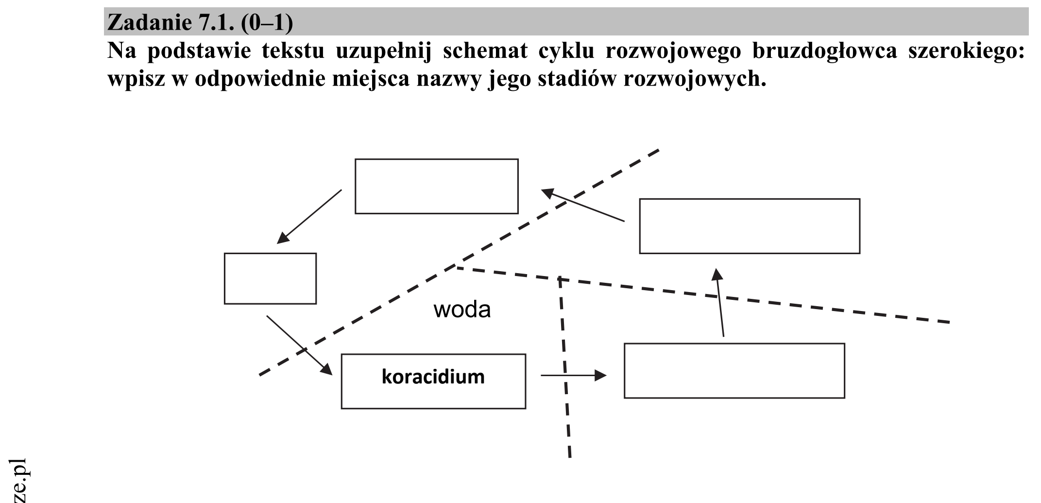 Matura dodatkowa, czerwiec 2017, zadanie 7.1