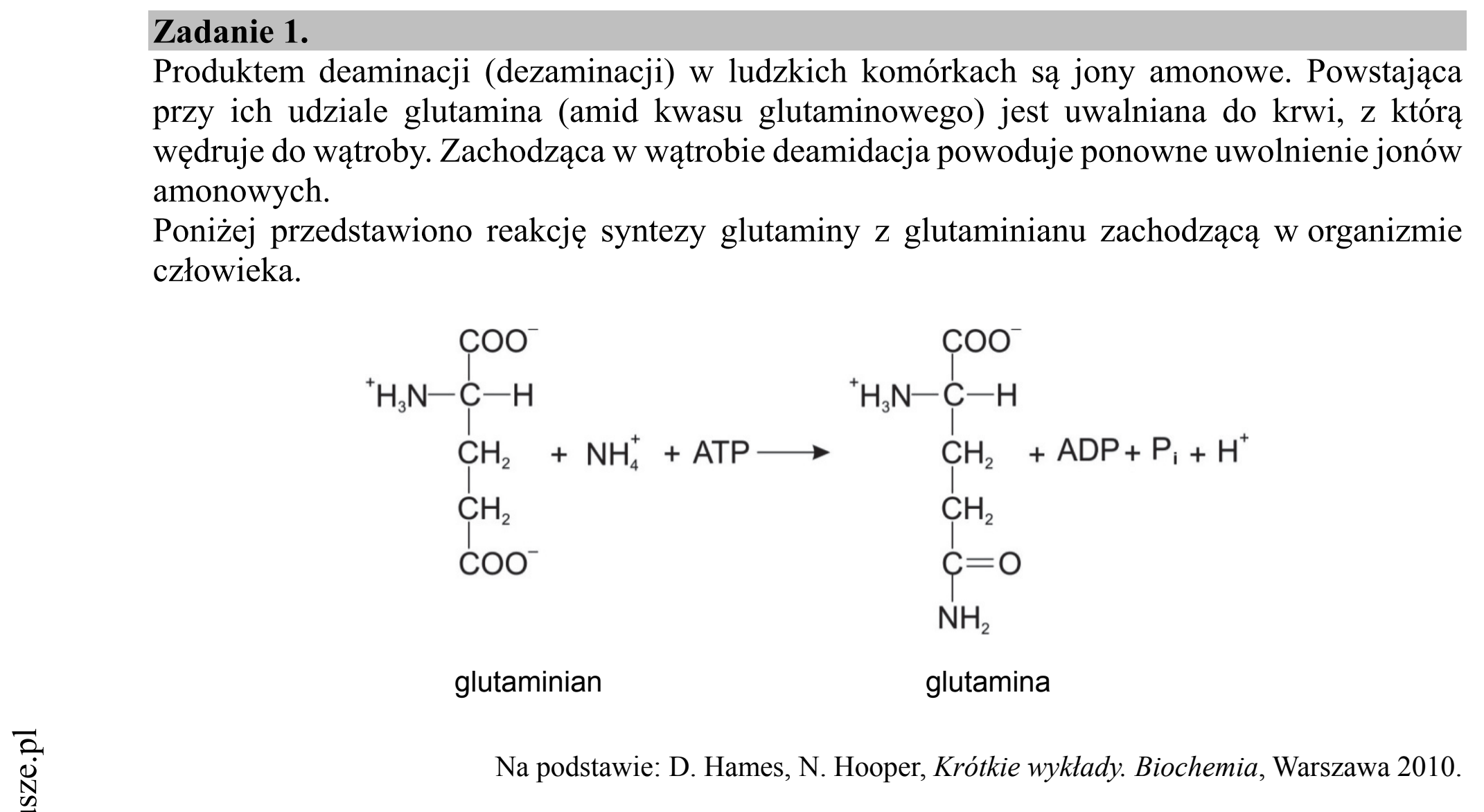 Matura dodatkowa, czerwiec 2018, wstęp zadania 1