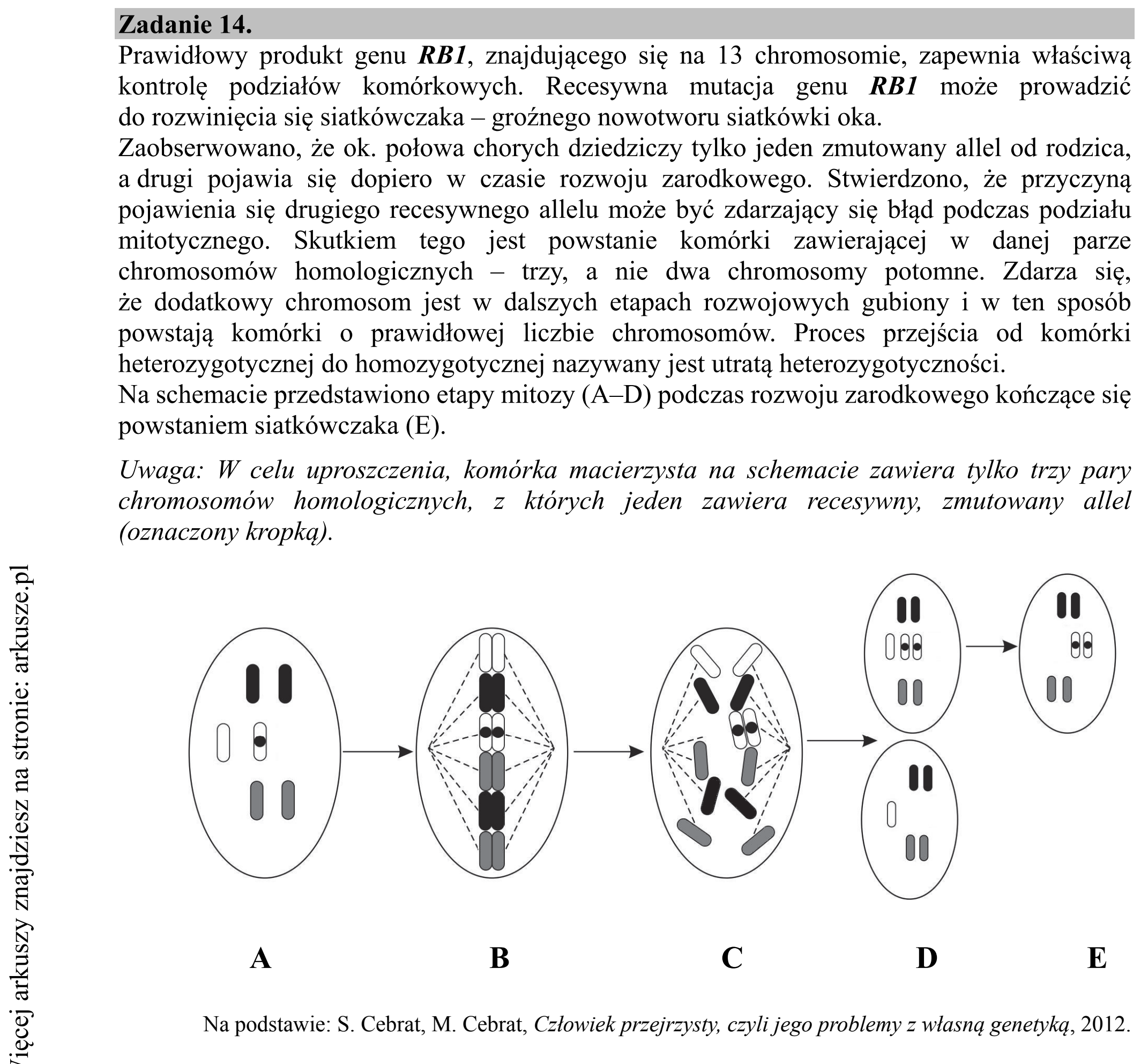 Matura dodatkowa, czerwiec 2018, wstęp zadania 14
