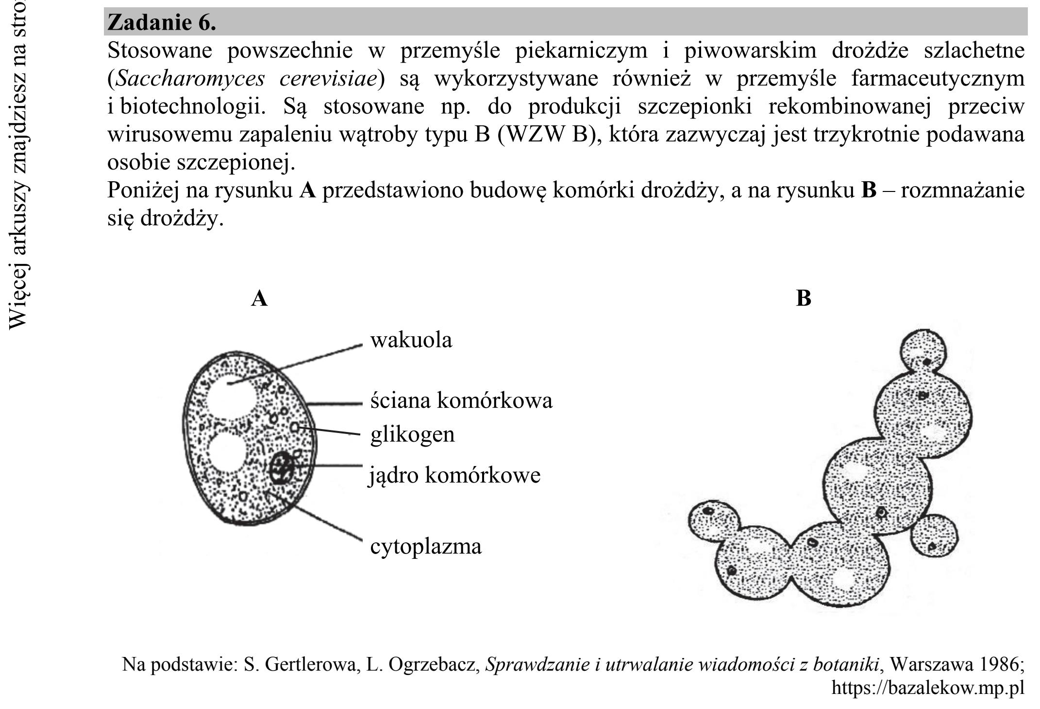 Matura dodatkowa, czerwiec 2018, wstęp zadania 6