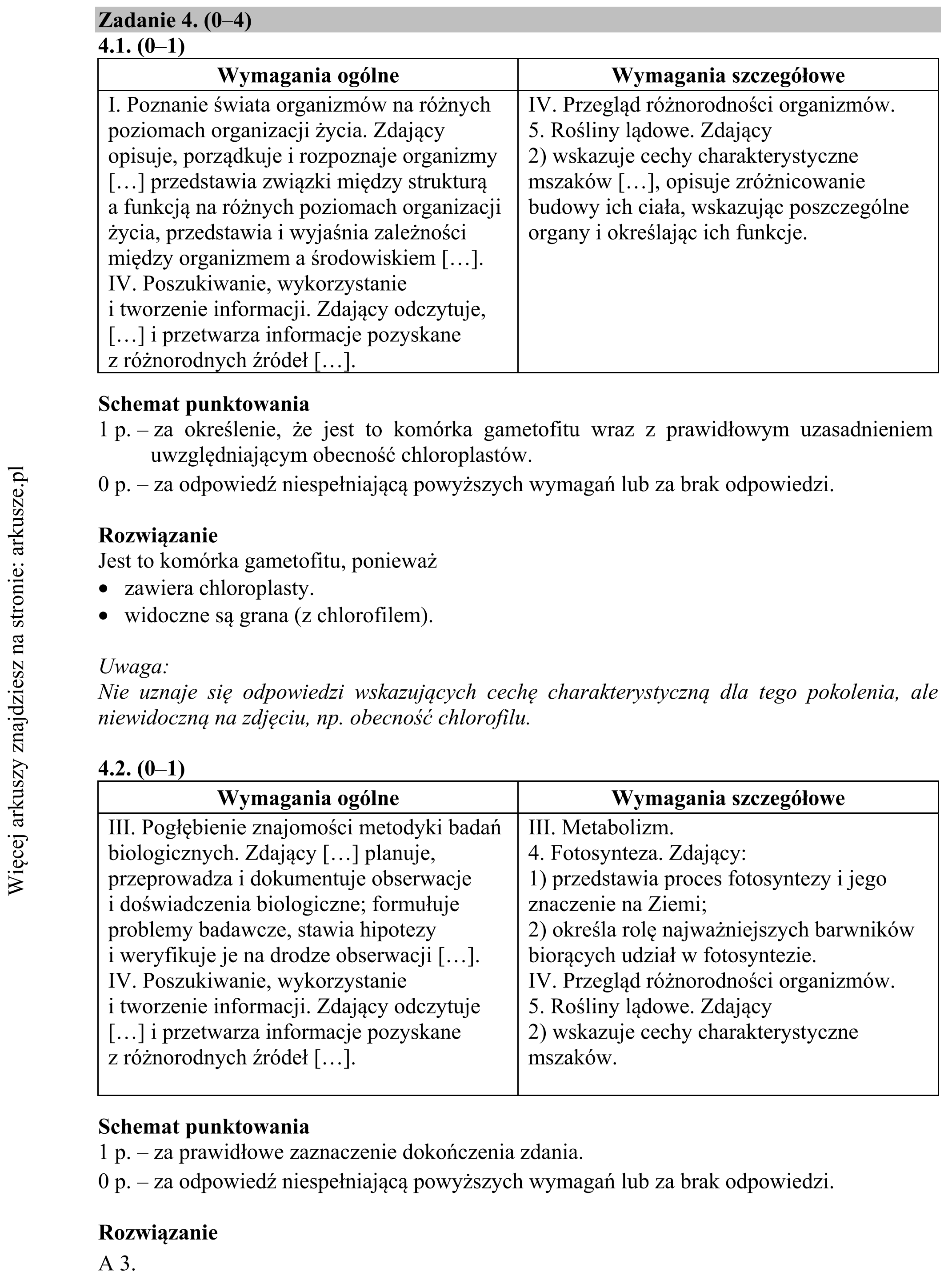Matura dodatkowa, czerwiec 2019, odpowiedź do zadania 4.1, fragment 1