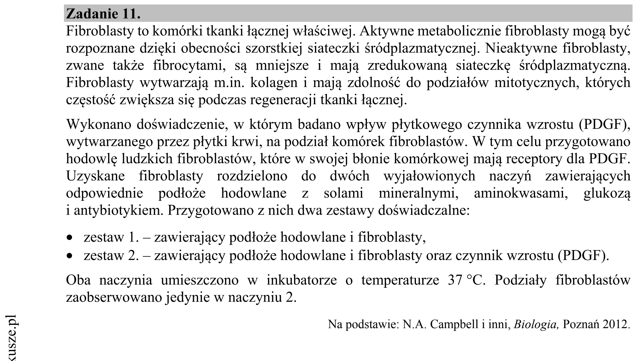 Matura dodatkowa, czerwiec 2019, wstęp zadania 11