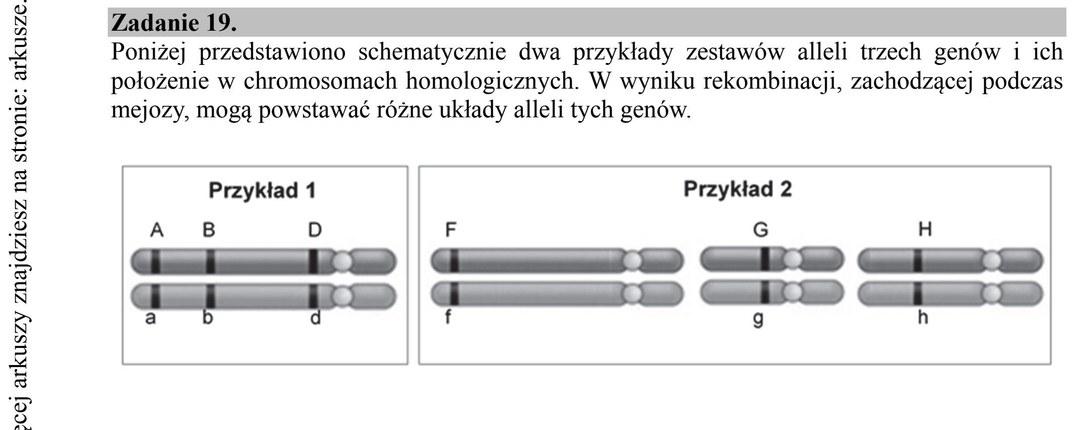 Matura dodatkowa, czerwiec 2019, wstęp zadania 19