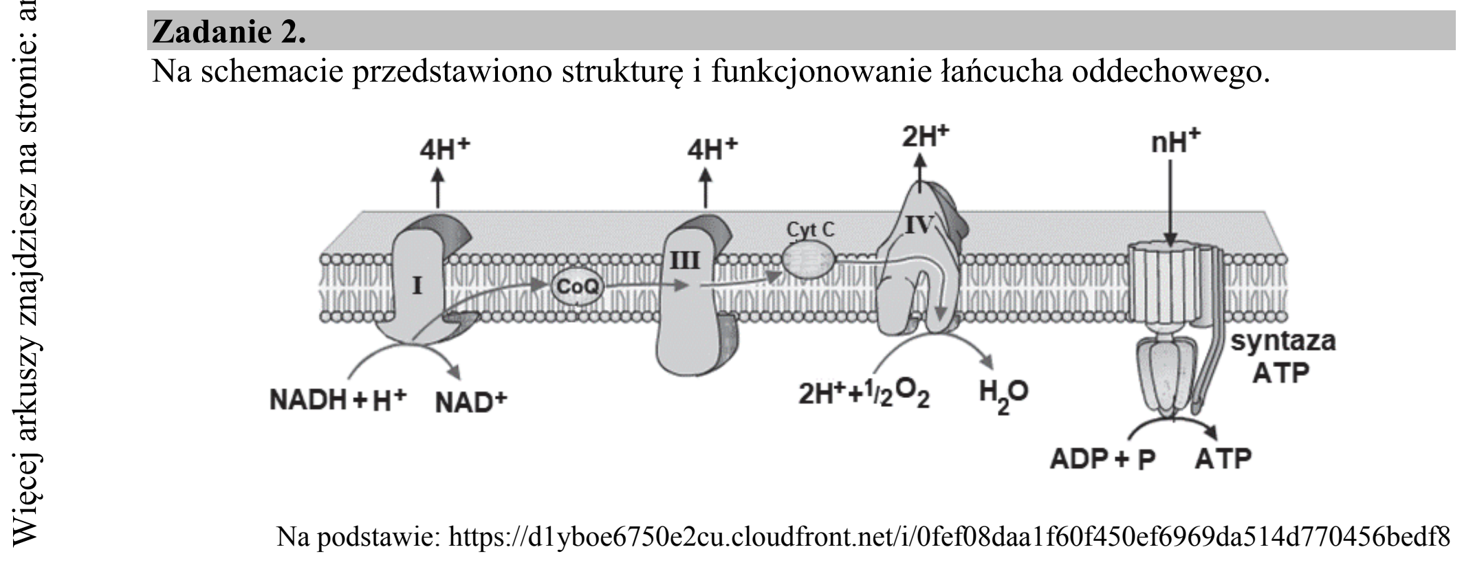 Matura dodatkowa, czerwiec 2019, wstęp zadania 2