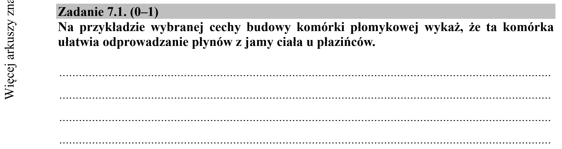 Matura dodatkowa, czerwiec 2019, zadanie 7.1