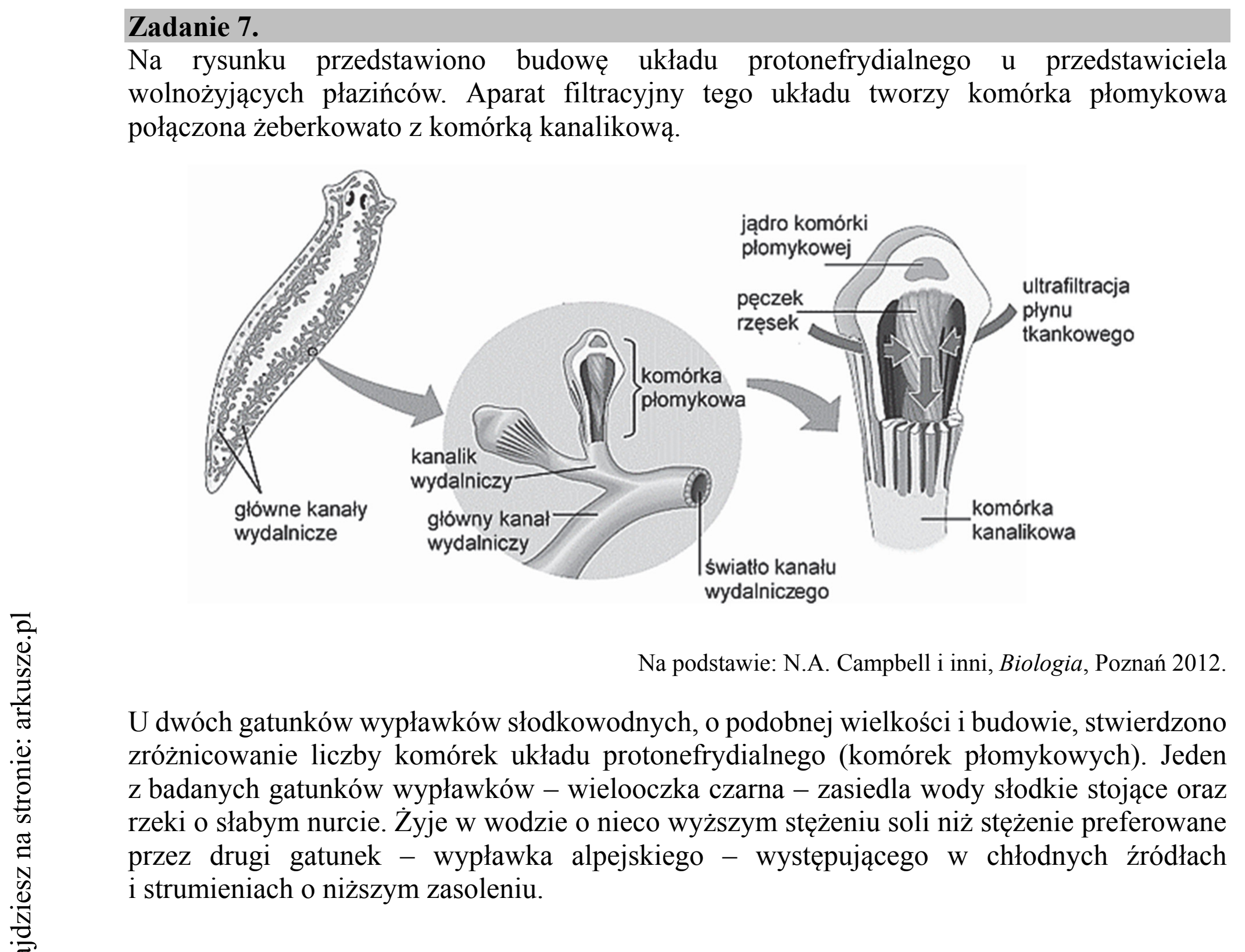 Matura dodatkowa, czerwiec 2019, wstęp zadania 7