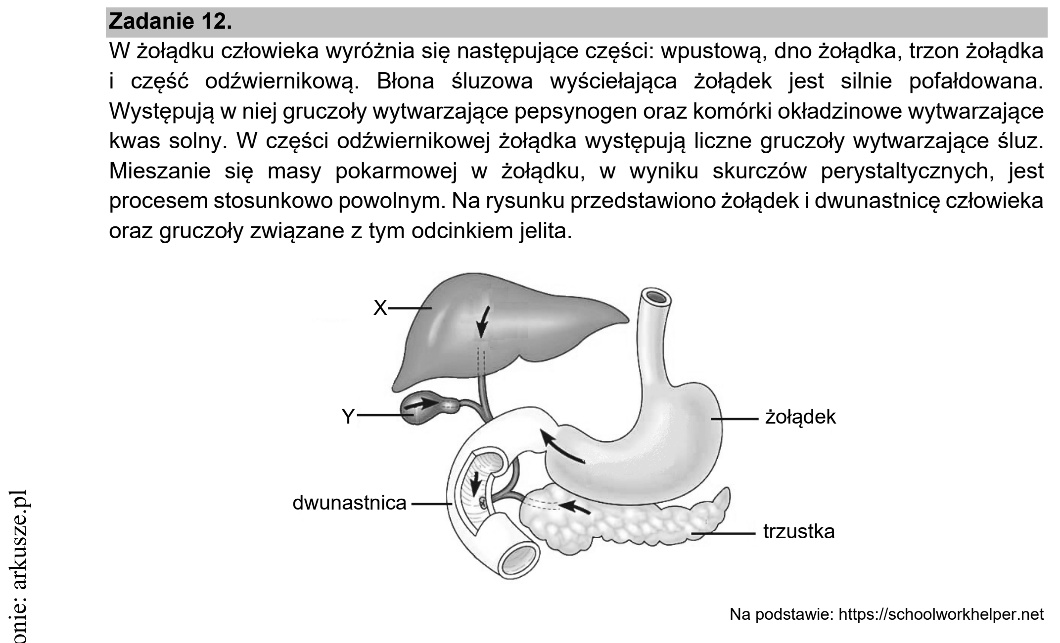Matura dodatkowa, czerwiec 2021, wstęp zadania 12