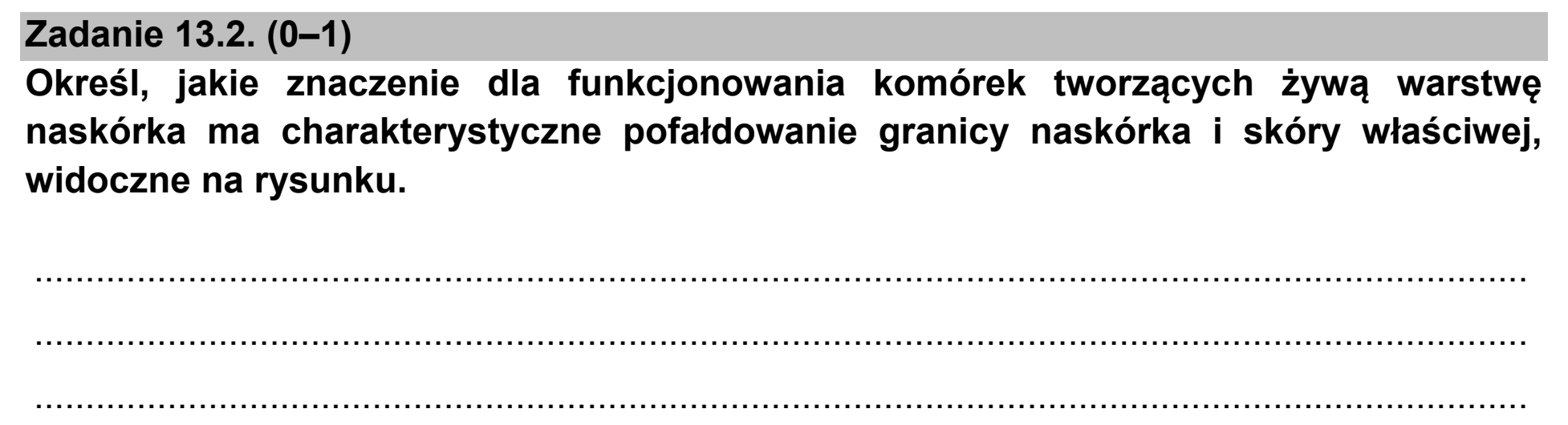 Matura dodatkowa, czerwiec 2021, zadanie 13.2
