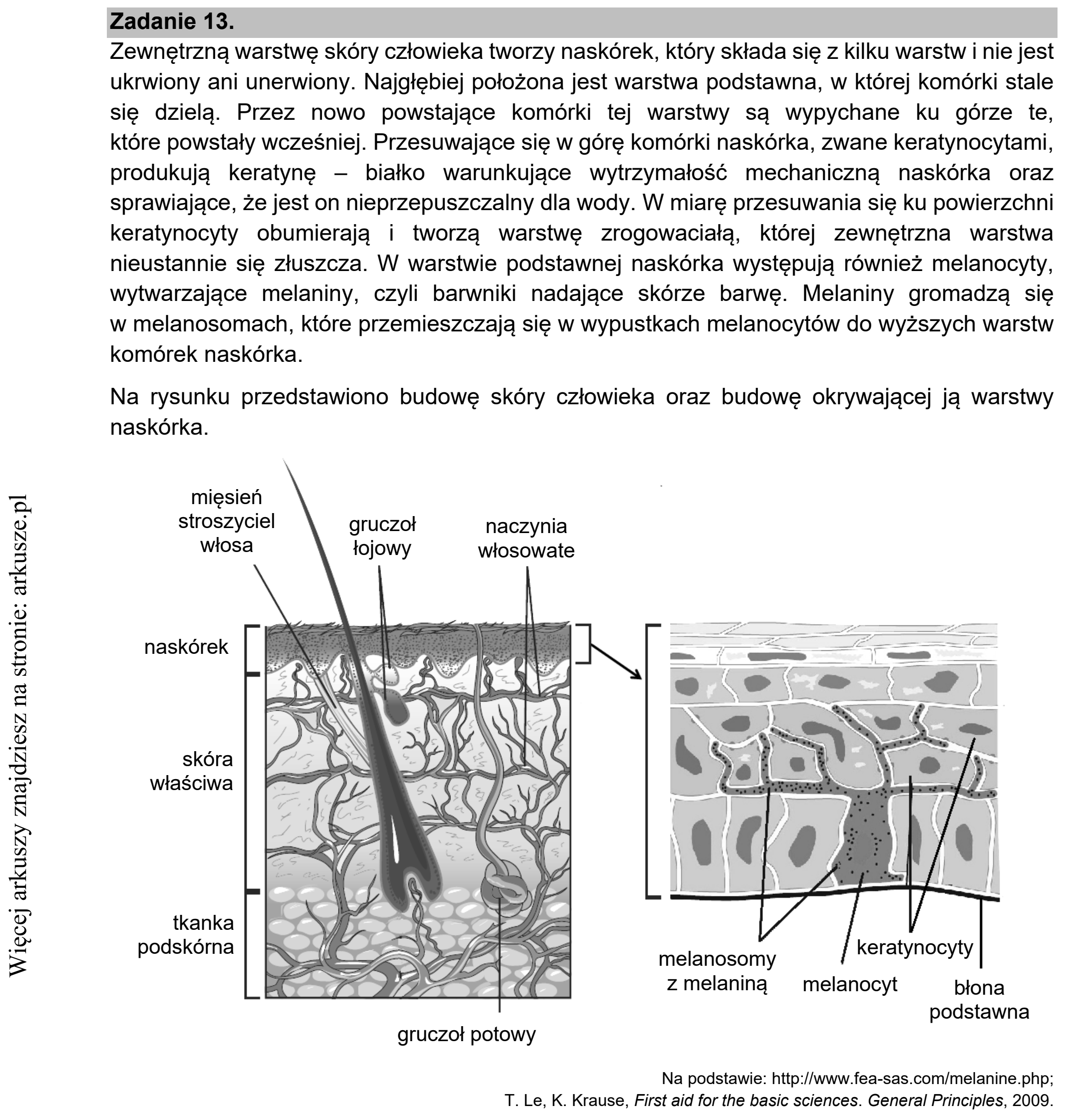 Matura dodatkowa, czerwiec 2021, wstęp zadania 13