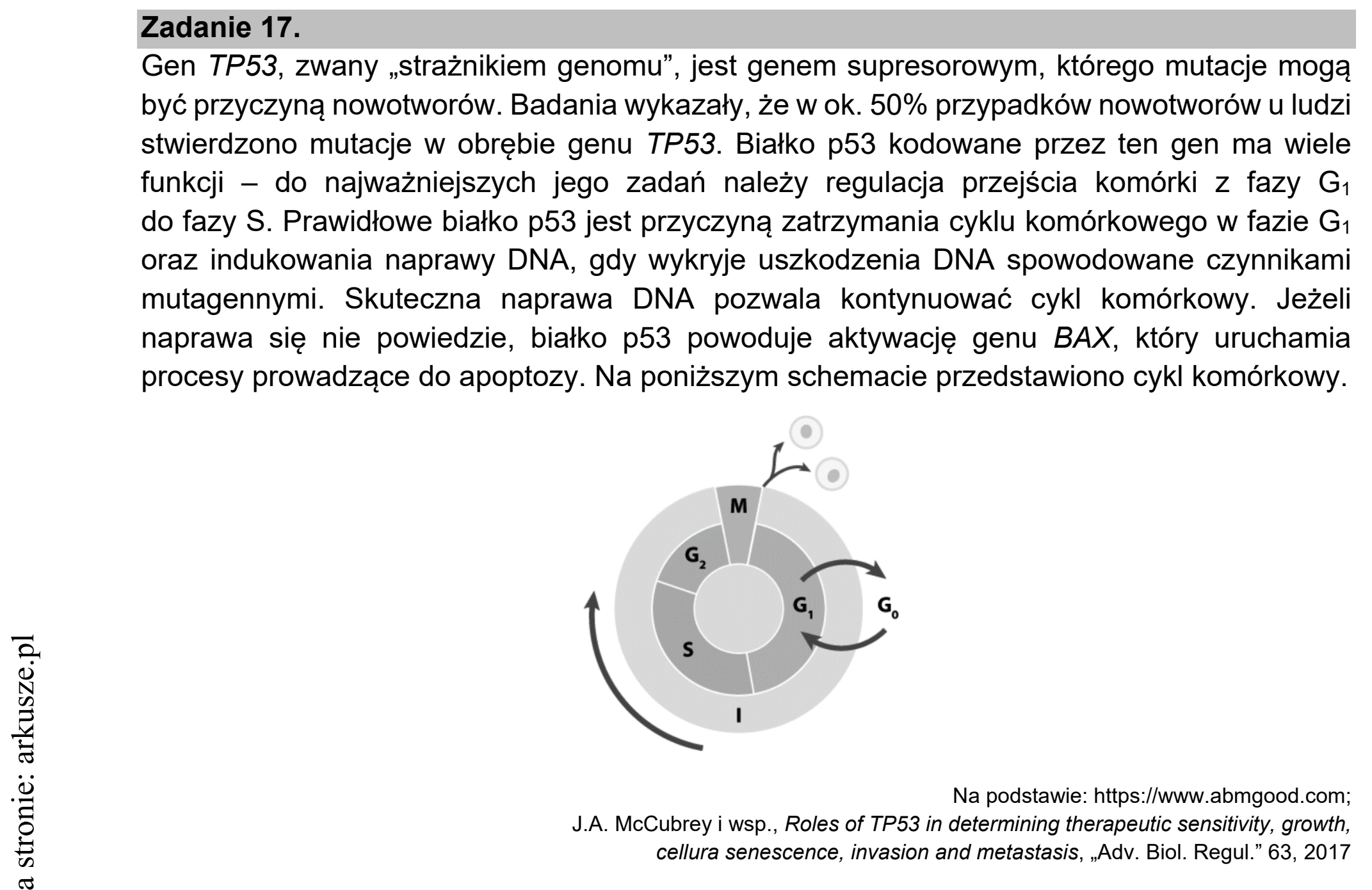 Matura dodatkowa, czerwiec 2021, wstęp zadania 17