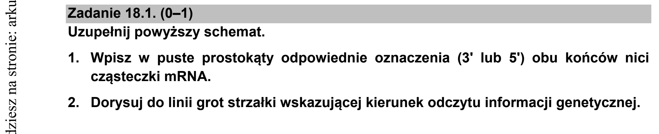 Matura dodatkowa, czerwiec 2021, zadanie 18.1