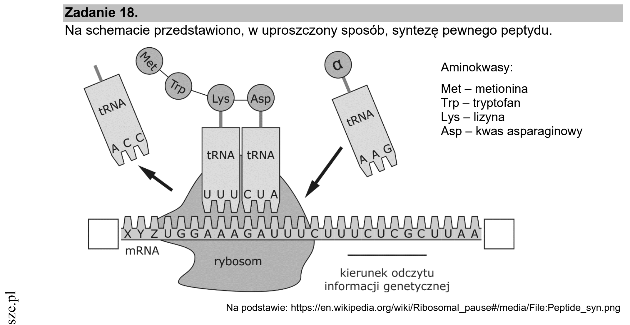 Matura dodatkowa, czerwiec 2021, wstęp zadania 18