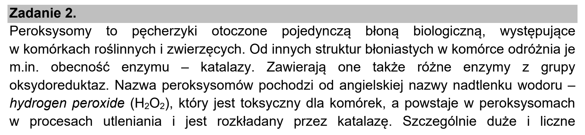 Matura dodatkowa, czerwiec 2021, wstęp zadania 2, fragment 1