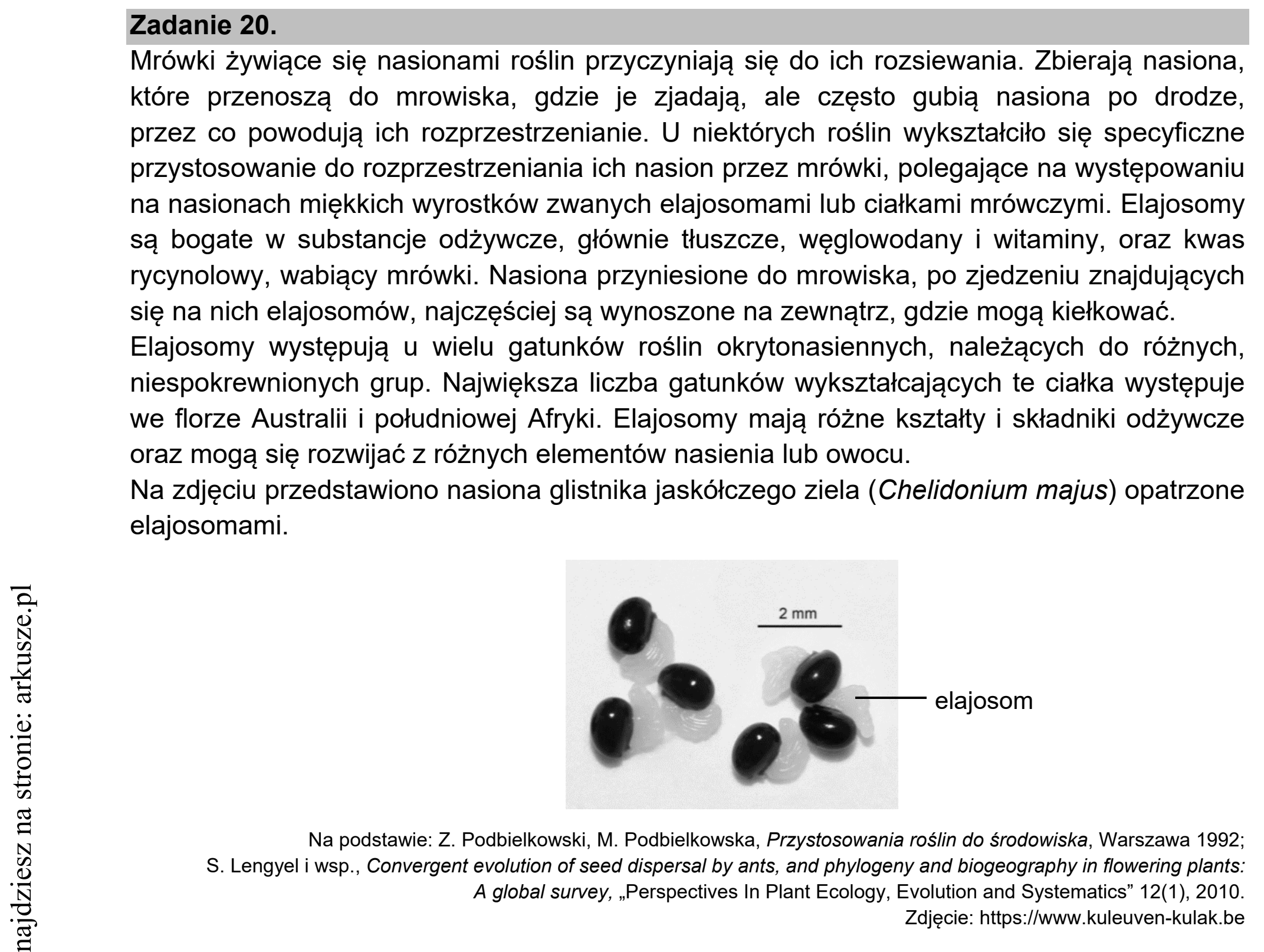 Matura dodatkowa, czerwiec 2021, wstęp zadania 20