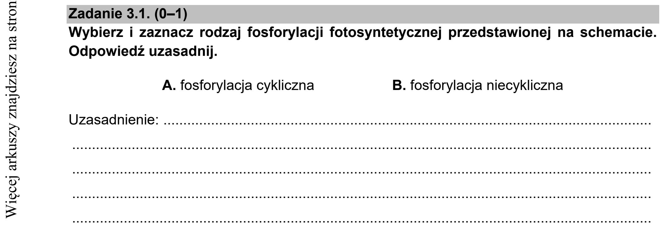 Matura dodatkowa, czerwiec 2021, zadanie 3.1