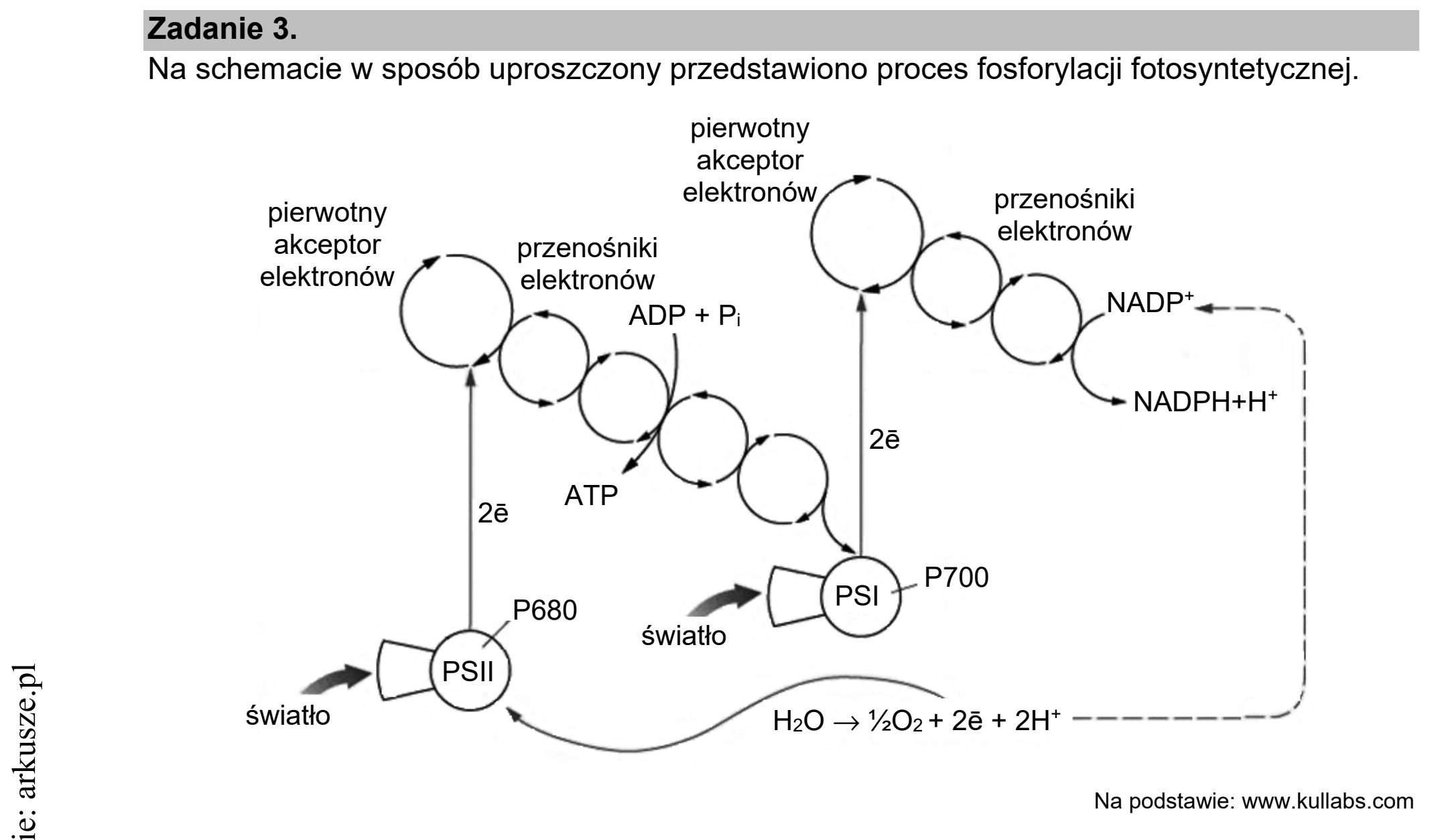 Matura dodatkowa, czerwiec 2021, wstęp zadania 3