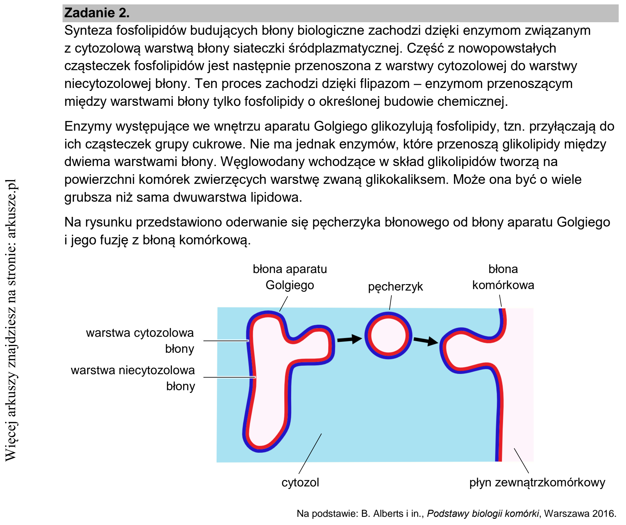 Matura dodatkowa, czerwiec 2022, wstęp zadania 2