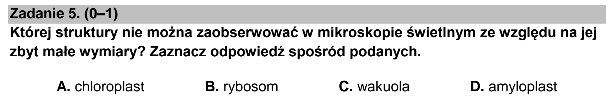 Matura dodatkowa, czerwiec 2022, podgląd zadania 5