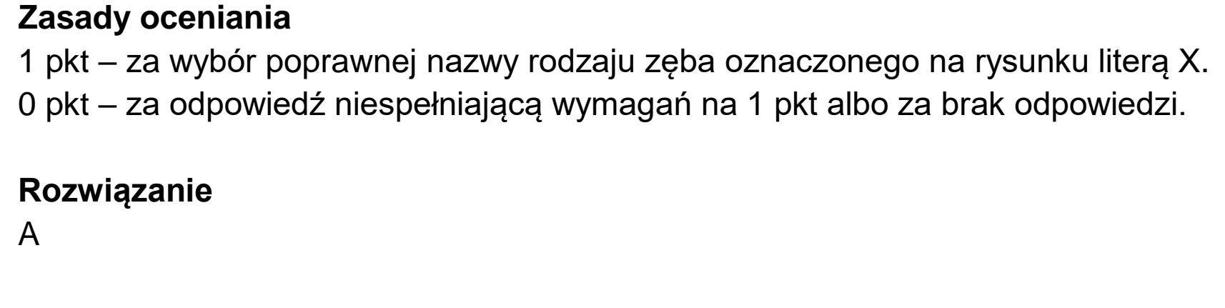 Matura dodatkowa, czerwiec 2023, odpowiedź do zadania 10.2
