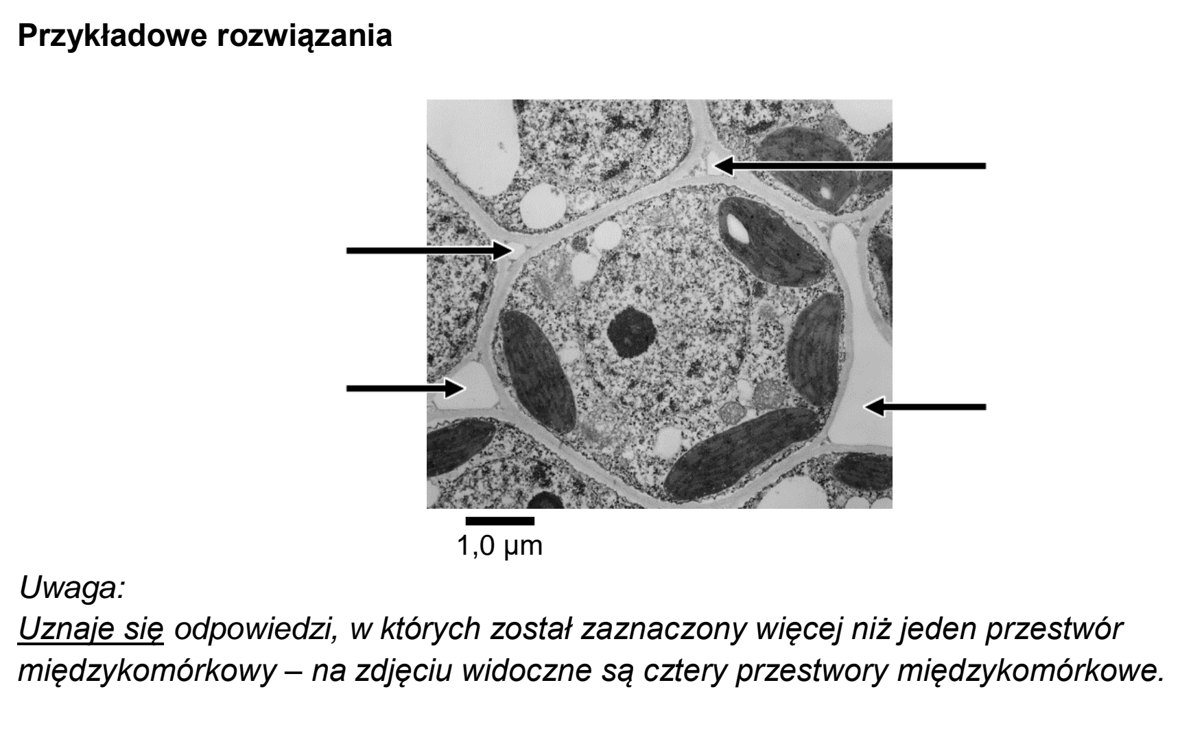 Matura dodatkowa, czerwiec 2023, odpowiedź do zadania 2.1, fragment 2