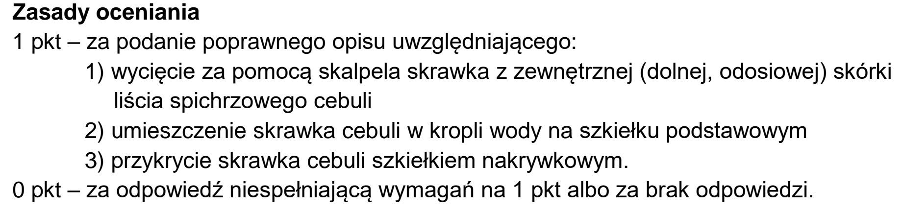 Matura dodatkowa, czerwiec 2023, odpowiedź do zadania 3.1