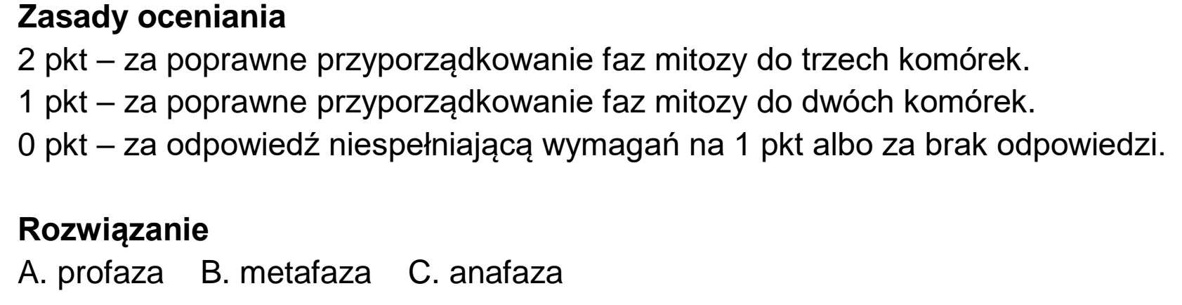 Matura dodatkowa, czerwiec 2023, odpowiedź do zadania 6.2