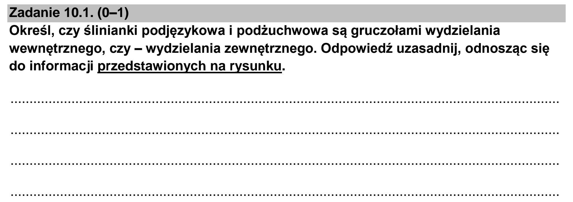 Matura dodatkowa, czerwiec 2023, zadanie 10.1