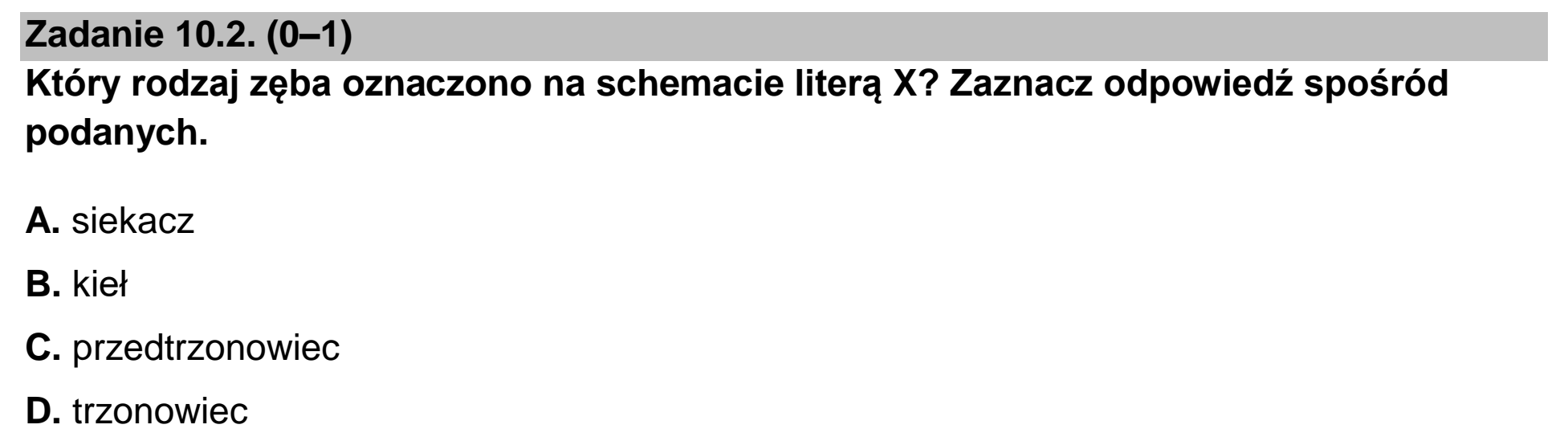 Matura dodatkowa, czerwiec 2023, zadanie 10.2