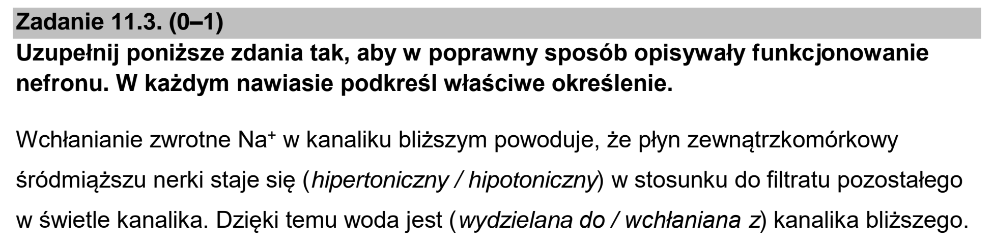 Matura dodatkowa, czerwiec 2023, zadanie 11.3