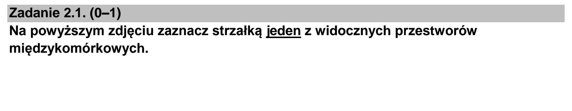 Matura dodatkowa, czerwiec 2023, zadanie 2.1