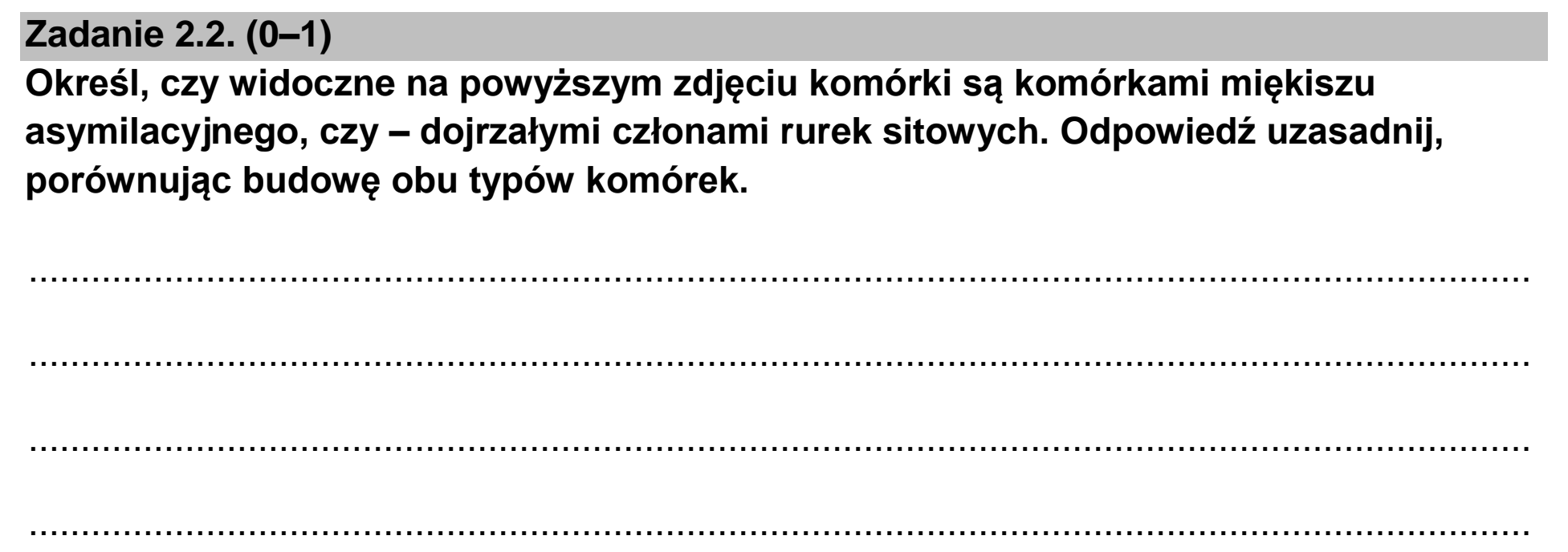 Matura dodatkowa, czerwiec 2023, zadanie 2.2