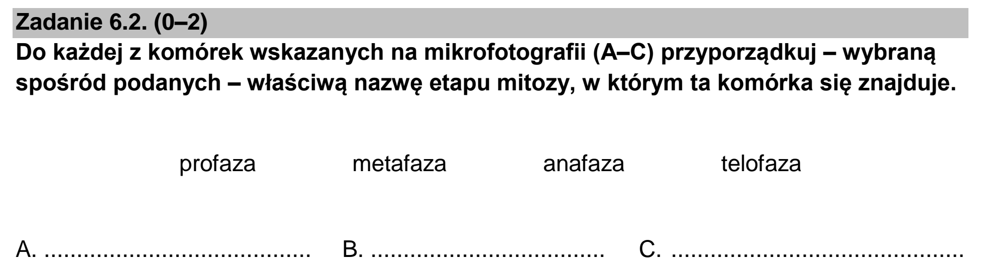 Matura dodatkowa, czerwiec 2023, zadanie 6.2