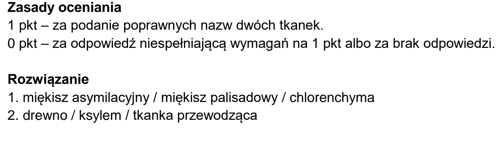Matura dodatkowa, czerwiec 2024, odpowiedź do zadania 4.1