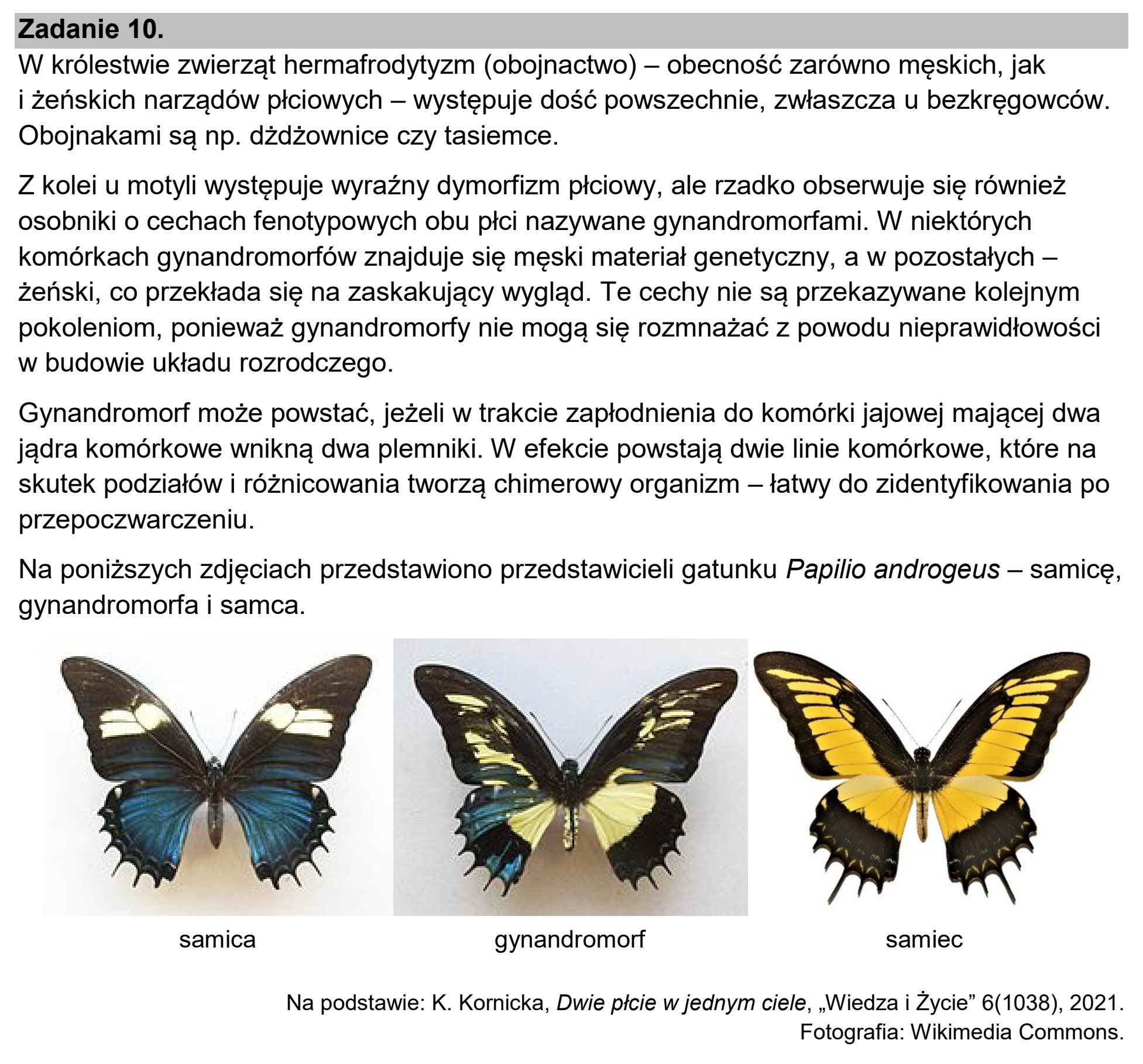 Matura dodatkowa, czerwiec 2024, wstęp zadania 10