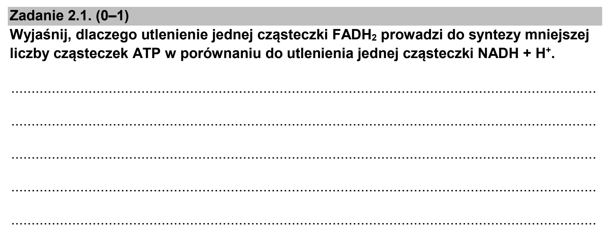 Matura dodatkowa, czerwiec 2024, zadanie 2.1
