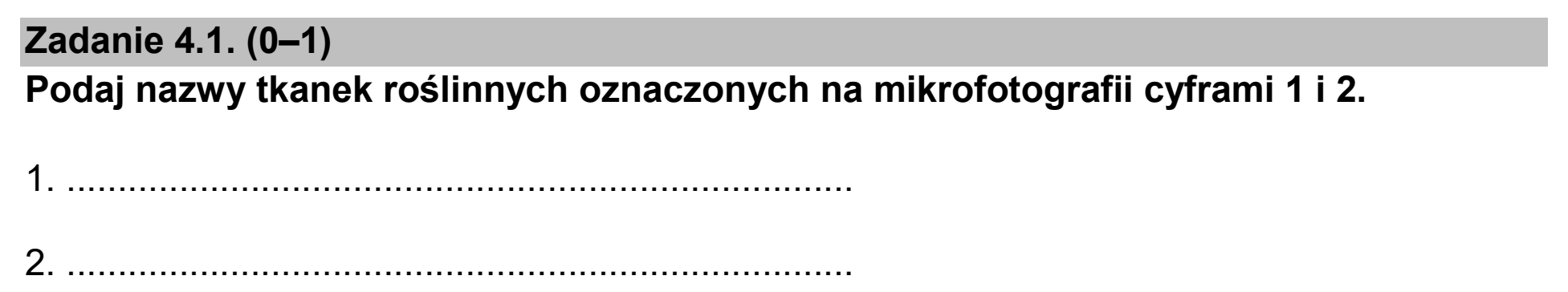 Matura dodatkowa, czerwiec 2024, zadanie 4.1