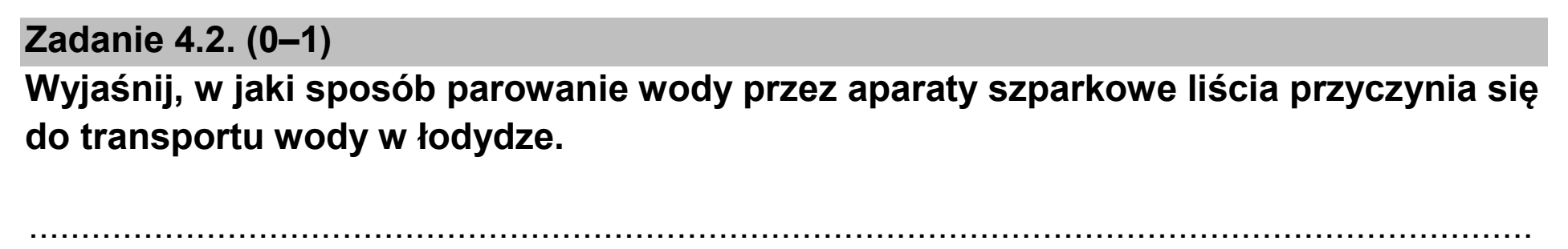 Matura dodatkowa, czerwiec 2024, zadanie 4.2