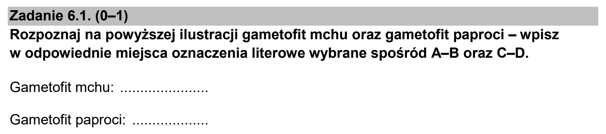 Matura dodatkowa, czerwiec 2024, zadanie 6.1