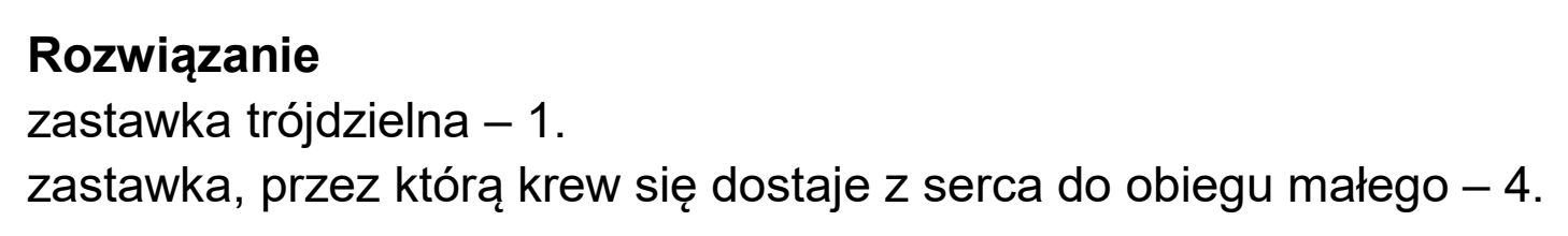 Matura dodatkowa, czerwiec 2025, odpowiedź do zadania 11.1, fragment 2