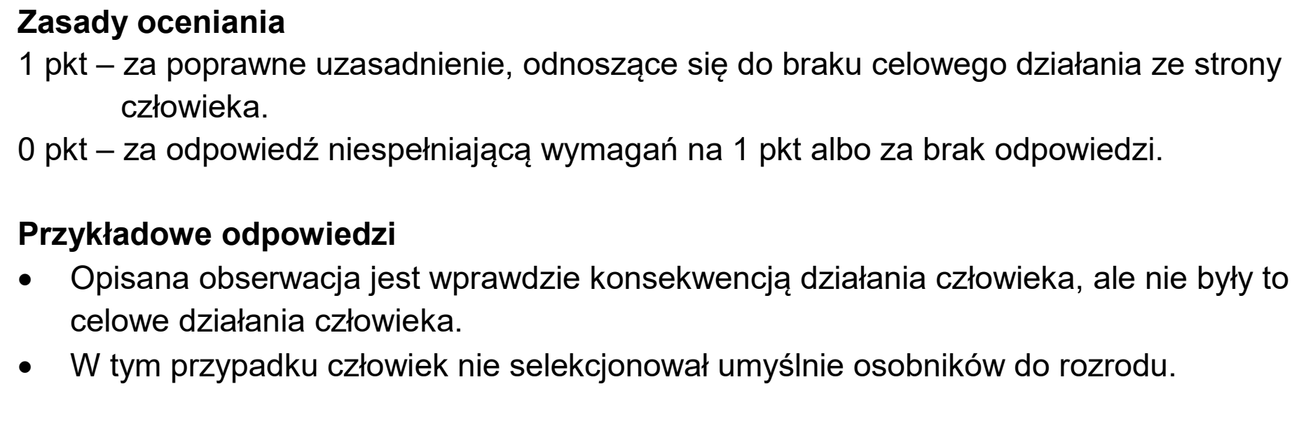 Matura dodatkowa, czerwiec 2025, odpowiedź do zadania 20.2