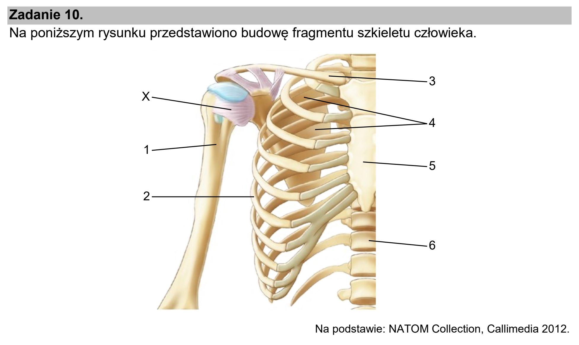 Matura dodatkowa, czerwiec 2025, wstęp zadania 10